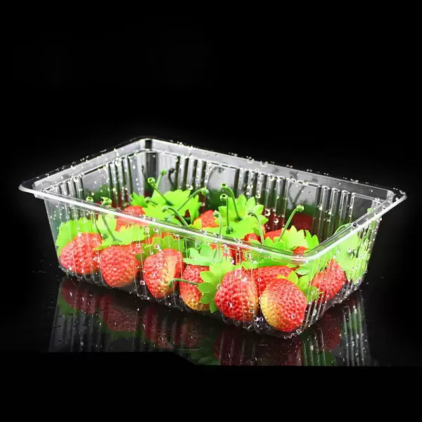 plastic fruit tray sample plastic fruit tray sample