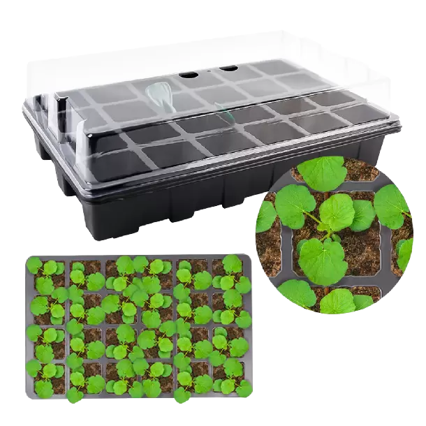 Seedling tray
