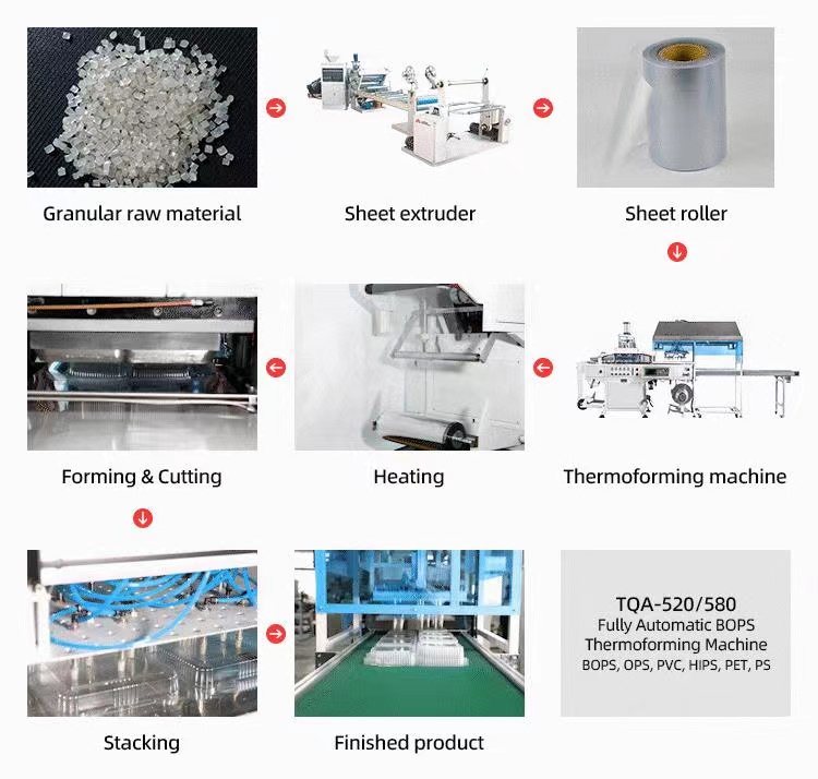 Plastic Cup Thermoforming Machine Production Process