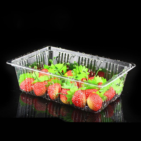 plastic fruit tray sample